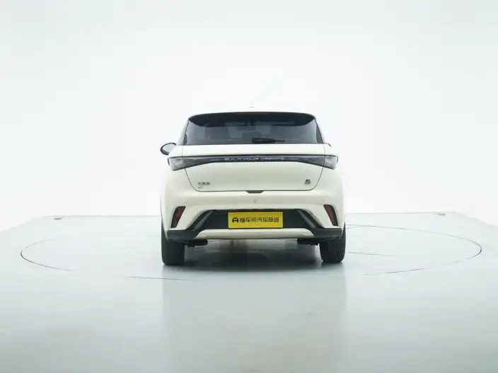 BYD Dolphin 2023 Model Free Edition – фото 6