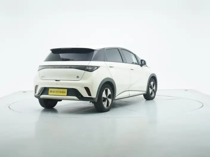 BYD Dolphin 2023 Model Free Edition – фото 7