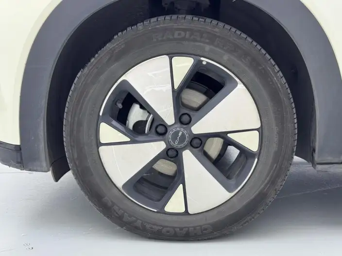 BYD Dolphin 2023 Model Free Edition – фото 9