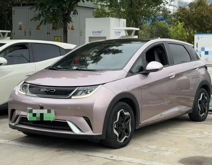 BYD Dolphin 2021 Model Free Edition