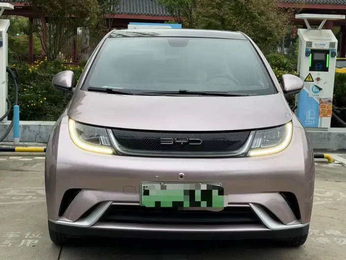 BYD Dolphin 2021 Model Free Edition