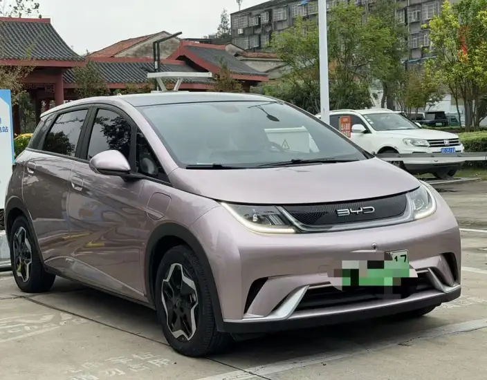 BYD Dolphin 2021 Model Free Edition