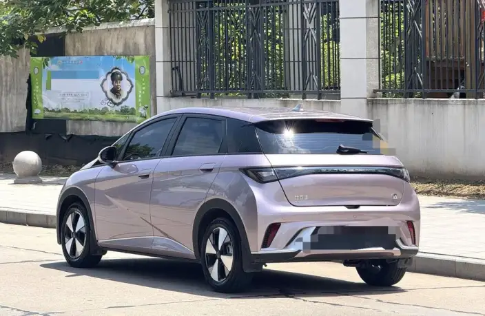 BYD Dolphin 2021 Model Free Edition