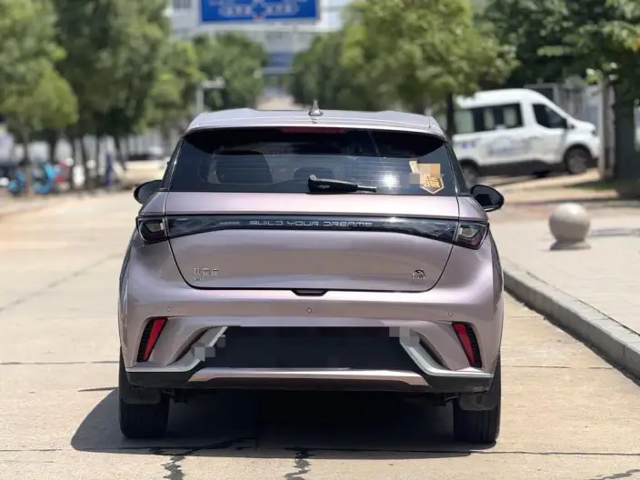 BYD Dolphin 2021 Model Free Edition – фото 5