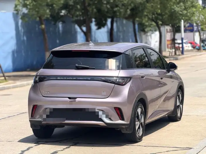 BYD Dolphin 2021 Model Free Edition – фото 6