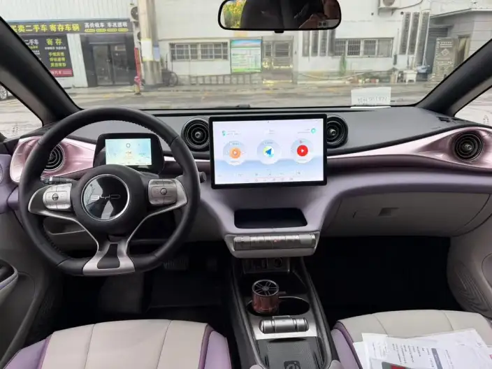 BYD Dolphin 2021 Model Free Edition – фото 8
