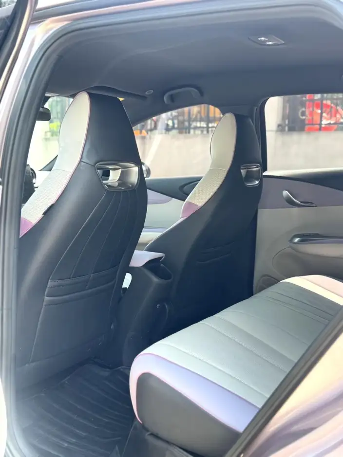 BYD Dolphin 2021 Model Free Edition – фото 9