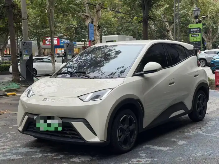 BYD Seagull 2024 Model Honor Edition 305KM Vitality Edition