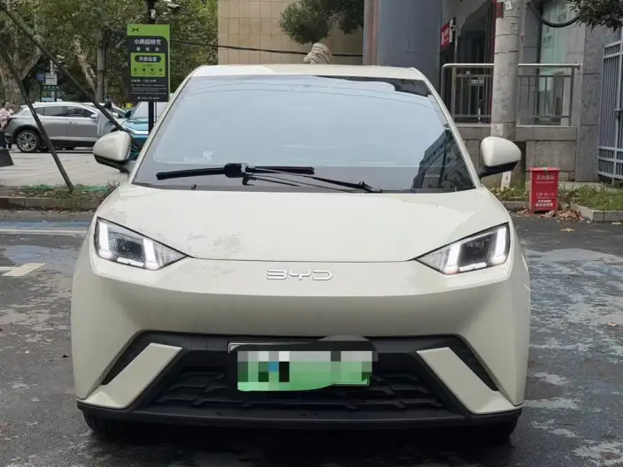 BYD Seagull 2024 Model Honor Edition 305KM Vitality Edition