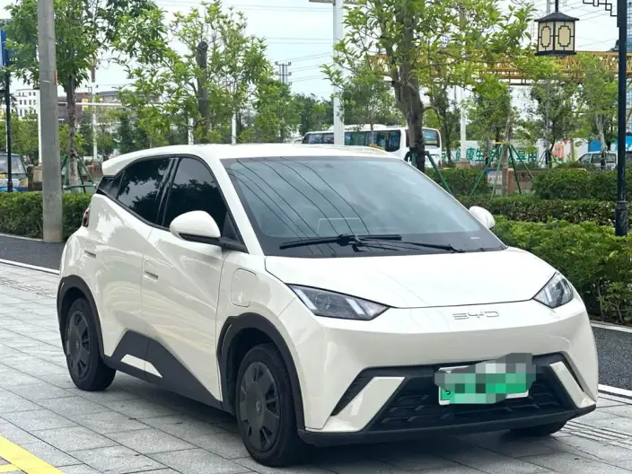 BYD Seagull 2024 Model Honor Edition 305KM Vitality Edition