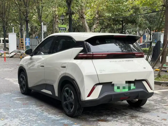 BYD Seagull 2024 Model Honor Edition 305KM Vitality Edition