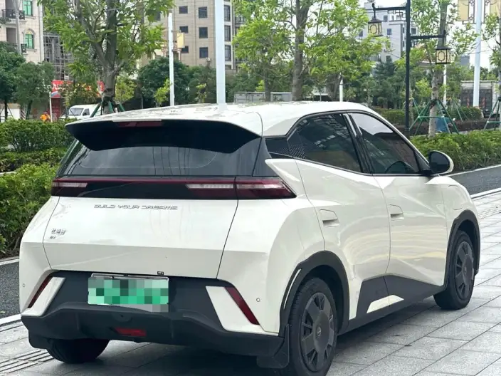 BYD Seagull 2024 Model Honor Edition 305KM Vitality Edition – фото 6