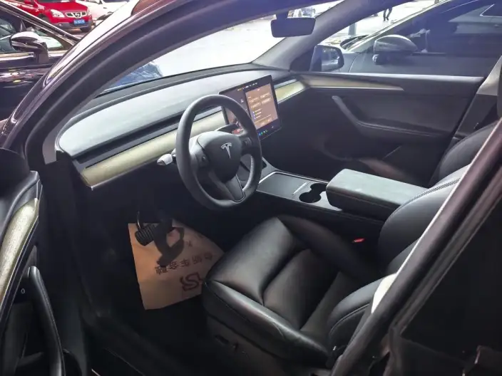 Model Y 2023 Model Long Battery Life Pro All-wheel drive version – фото 7