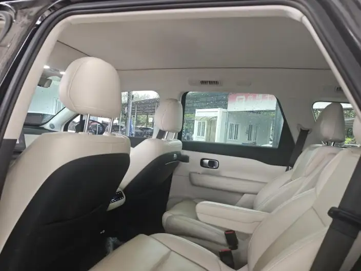 Leapmotor C16 2024 Model EV Edition 520 Exclusive Edition – фото 9