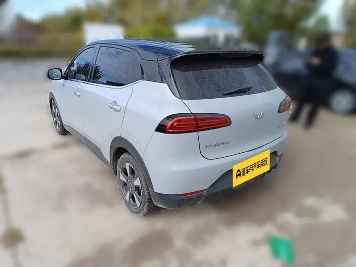 WULING Bingguo PLUS 2024 Model 510km Ultimate Edition