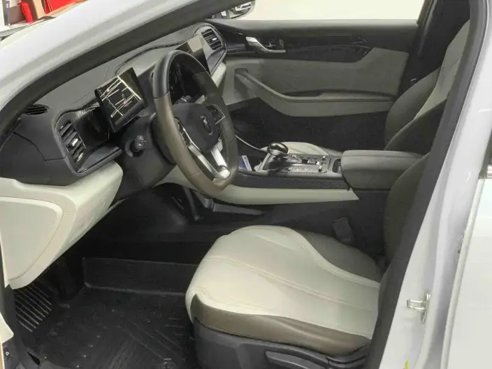 BYD Qin PLUS DM 2023 Model DM-i Champion Edition 55KM Leading Model – фото 8