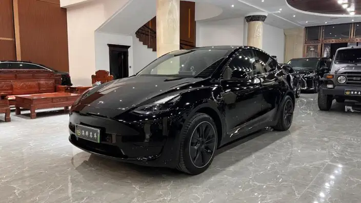Model Y 2022 Model Facelift Rear-wheel drive version – фото 1