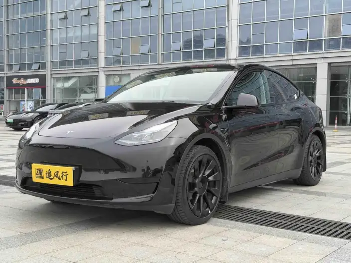 Model Y 2022 Model Facelift Rear-wheel drive version – фото 1