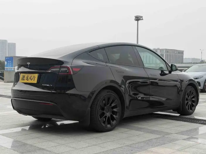 Model Y 2022 Model Facelift Rear-wheel drive version – фото 6
