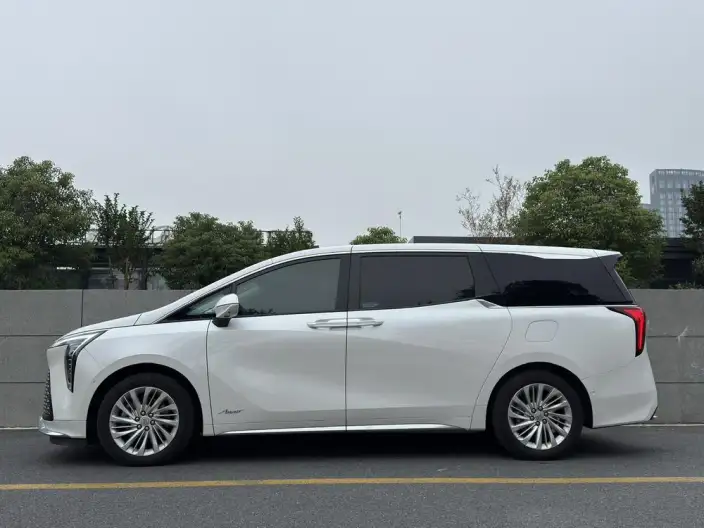 Century 2025 Model 2.0T VII seat Yunshi Edition