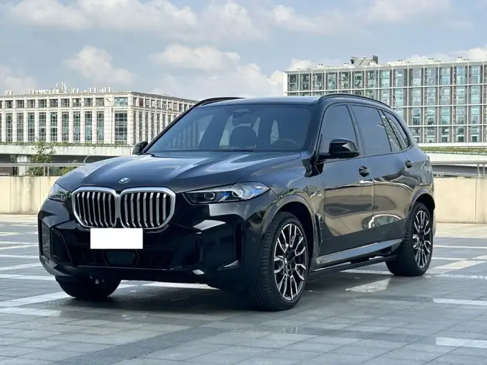 BMW X5 2023 Model xDrive40Li M Sports Night Set – фото 1