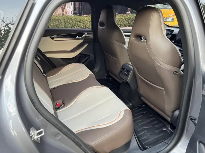 Qin Plus EV 2023 Model Champion Edition 510KM Leading Model – фото 10
