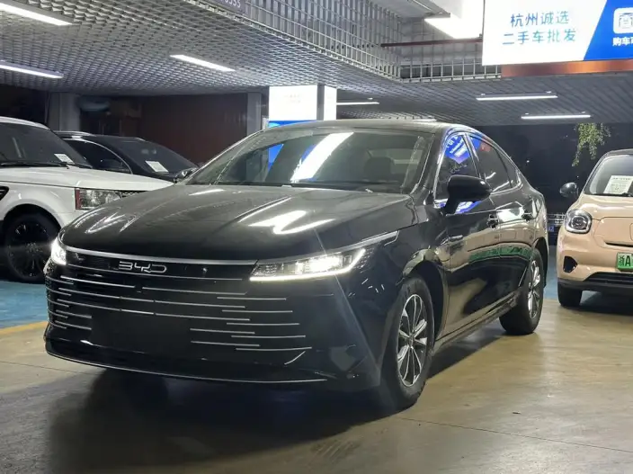 BYD Destroyer 05 2024 Model Honor Edition DM-i 55KM Luxury Model – фото 1