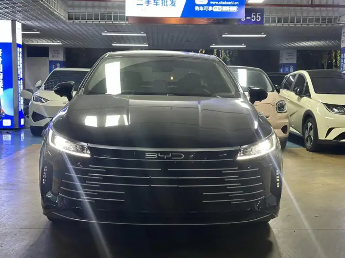 BYD Destroyer 05 2024 Model Honor Edition DM-i 55KM Luxury Model – фото 2