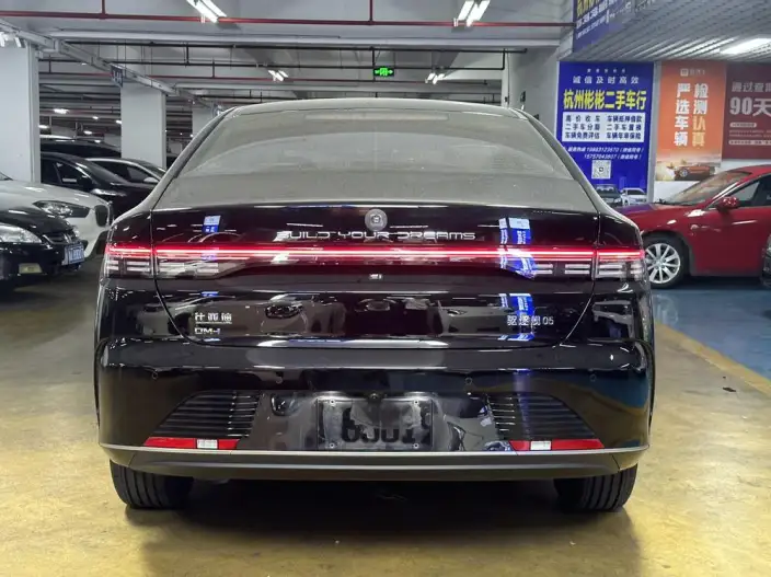 BYD Destroyer 05 2024 Model Honor Edition DM-i 55KM Luxury Model – фото 3