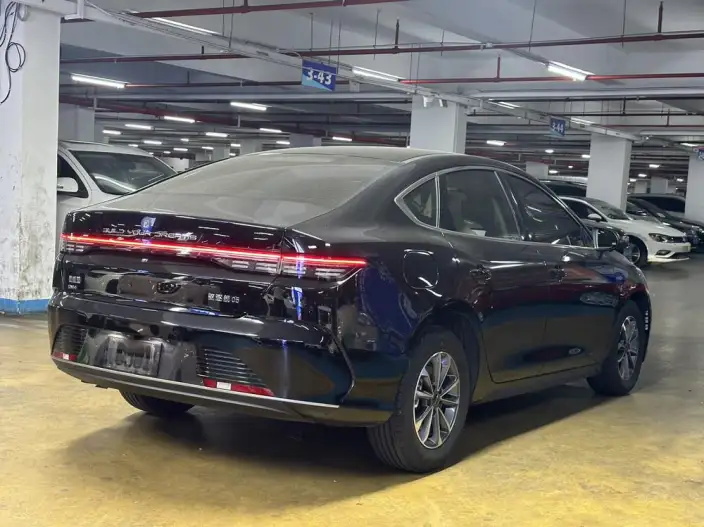 BYD Destroyer 05 2024 Model Honor Edition DM-i 55KM Luxury Model – фото 4