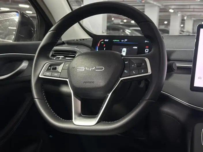 BYD Destroyer 05 2024 Model Honor Edition DM-i 55KM Luxury Model – фото 10