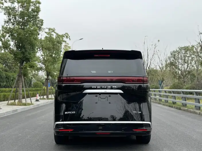 DENZA D9 DM 2022 Model 970 4WD Flagship Model – фото 6