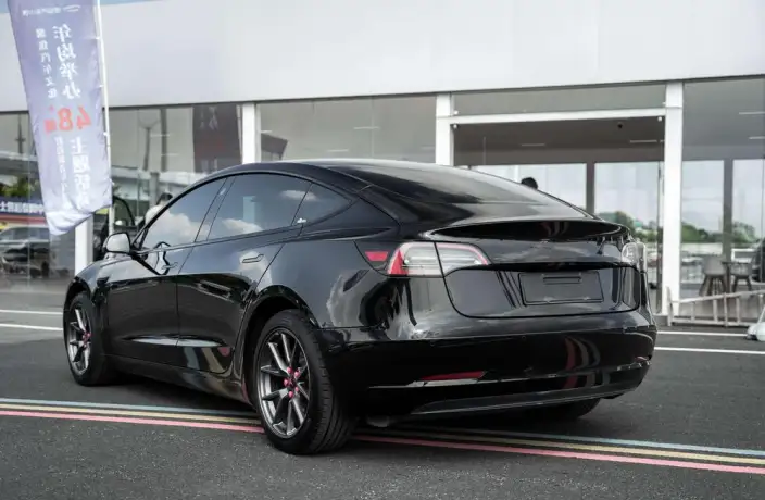 Model 3 2022 Model Rear-wheel drive version – фото 5