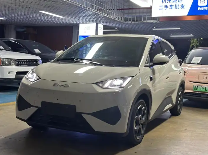 BYD Seagull 2025 Model Smart Driving Edition 305KM Free Edition – фото 1