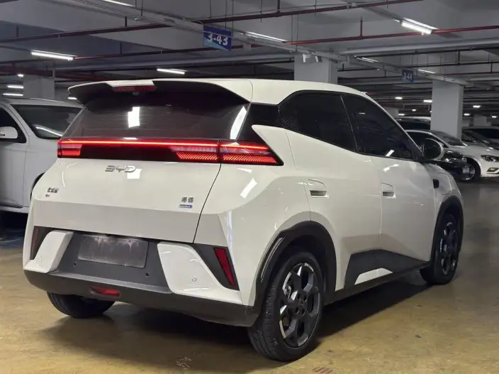BYD Seagull 2025 Model Smart Driving Edition 305KM Free Edition – фото 5