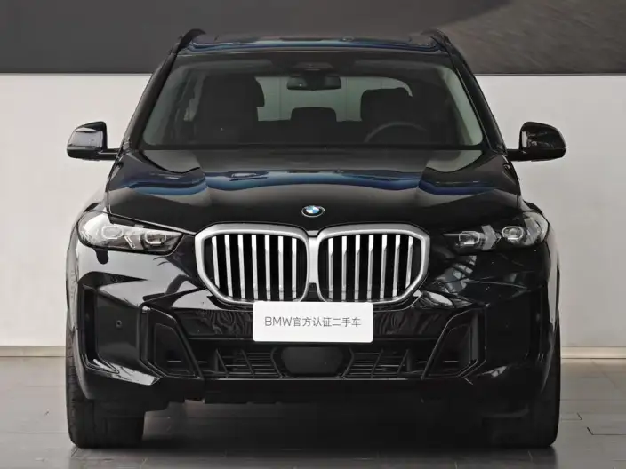 BMW X5 2026 Model xDrive30Li Exclusive Model M Sports Night Set – фото 2