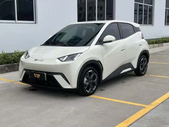 BYD Seagull 2024 Model Honor Edition 305KM Vitality Edition – фото 1