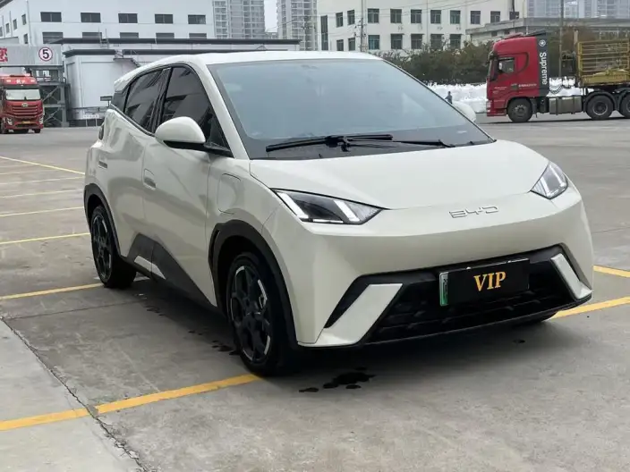 BYD Seagull 2024 Model Honor Edition 305KM Vitality Edition – фото 2