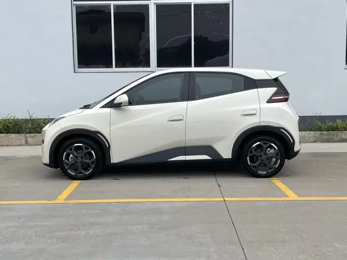 BYD Seagull 2024 Model Honor Edition 305KM Vitality Edition – фото 3