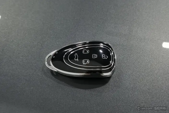 Wey Gaoshan P HEV 2023 Model 4WD Executive Extended Edition – фото 6