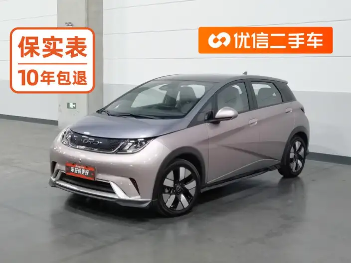 BYD Dolphin 2021 Model Knight Edition – фото 1