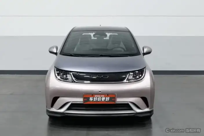 BYD Dolphin 2021 Model Knight Edition – фото 2