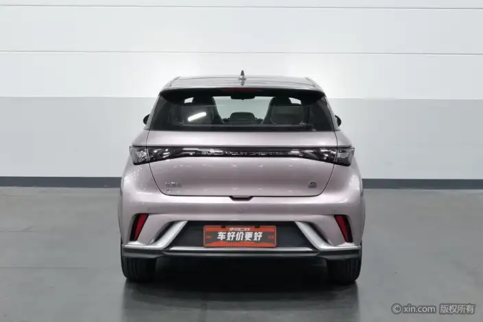 BYD Dolphin 2021 Model Knight Edition – фото 3
