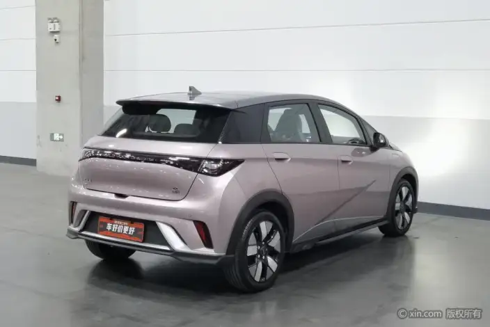 BYD Dolphin 2021 Model Knight Edition – фото 4