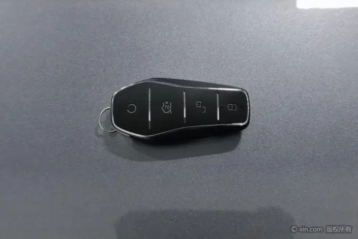 BYD Dolphin 2021 Model Knight Edition – фото 6