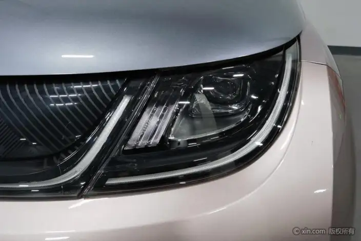 BYD Dolphin 2021 Model Knight Edition – фото 7