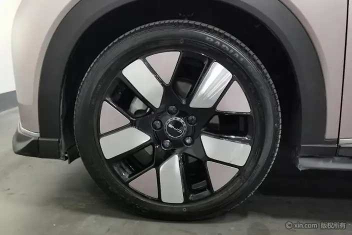BYD Dolphin 2021 Model Knight Edition – фото 10