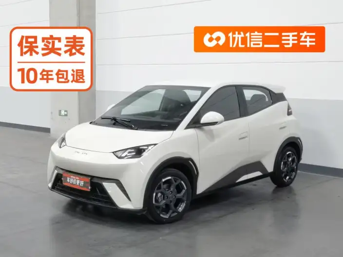 BYD Seagull 2025 Model 305KM Free Edition – фото 1