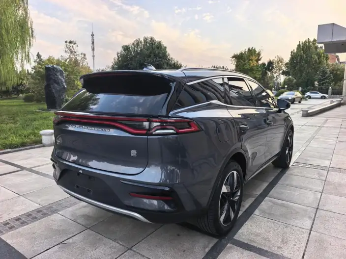 BYD Tang DM 2023 Model DM-i Champion Edition 112KM Exclusive Model – фото 6