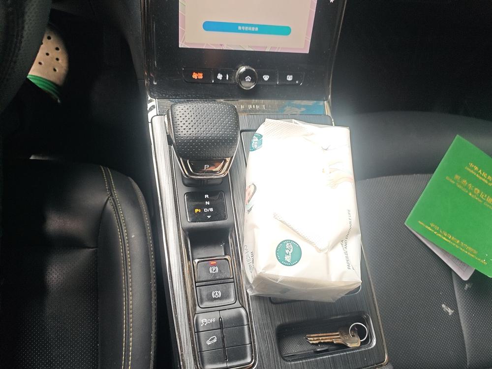 Roewe RX5 2021 Plus 330TGI Automatic National Wave Smart Edition – фото 9
